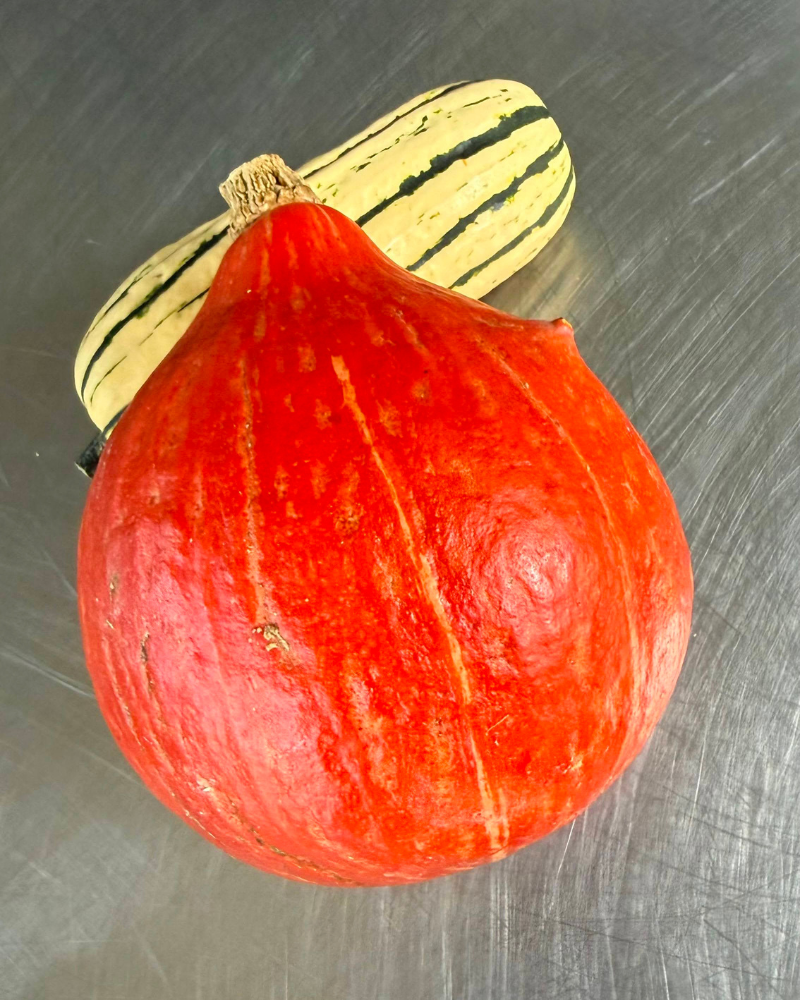 Squash, Red Kuri Hubbard, 1 ea
