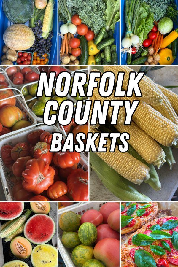 7 Week Summer Basket -- Norfolk County