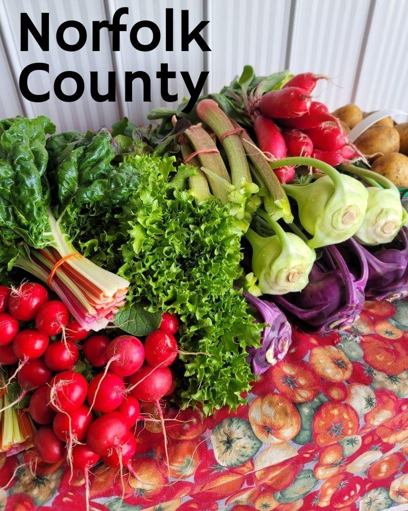 Try Us Out, Summer Baskets, Norfolk County