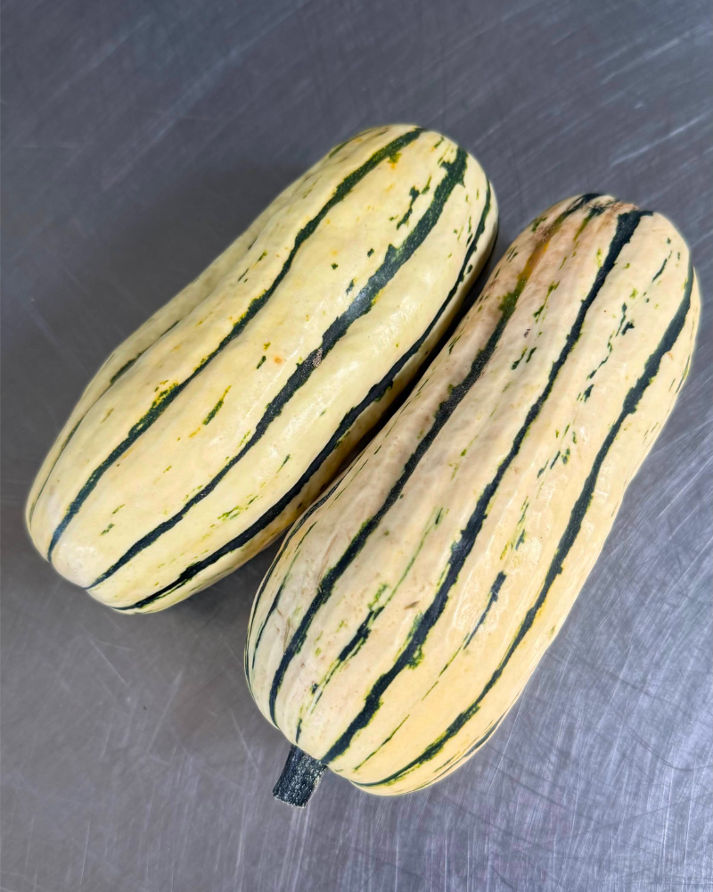Squash, Delicata, 2 ea