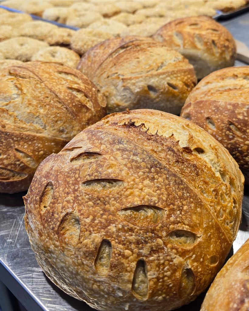 Sourdough Bread, Classic Plain