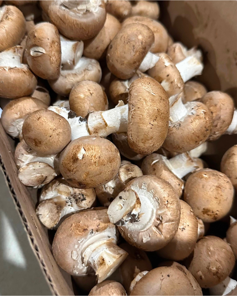 Mushrooms, Mini Bella, 1lb