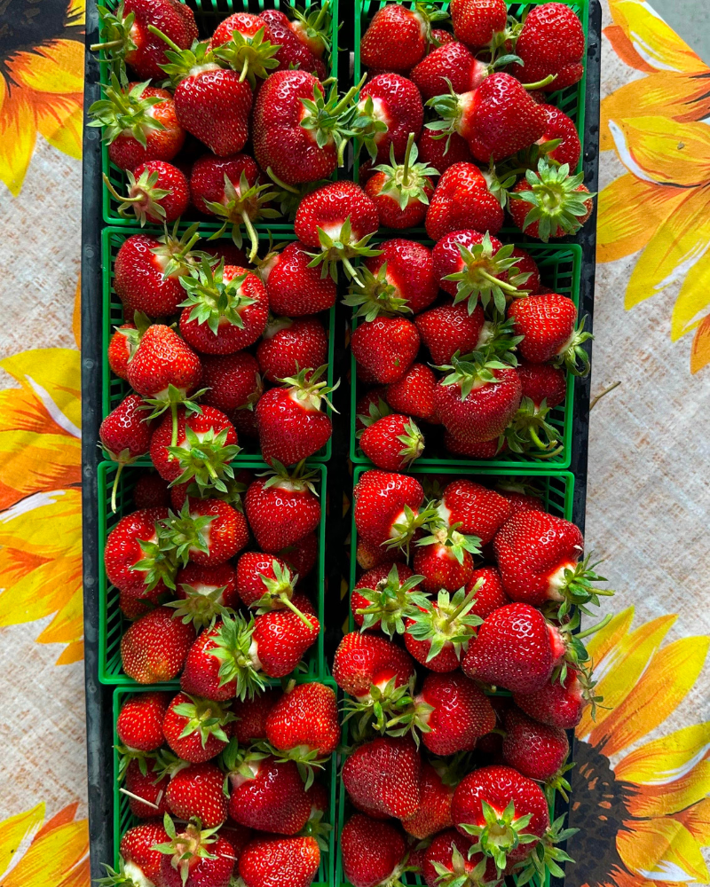 Fresh Strawberries, Flat of 6 quarts