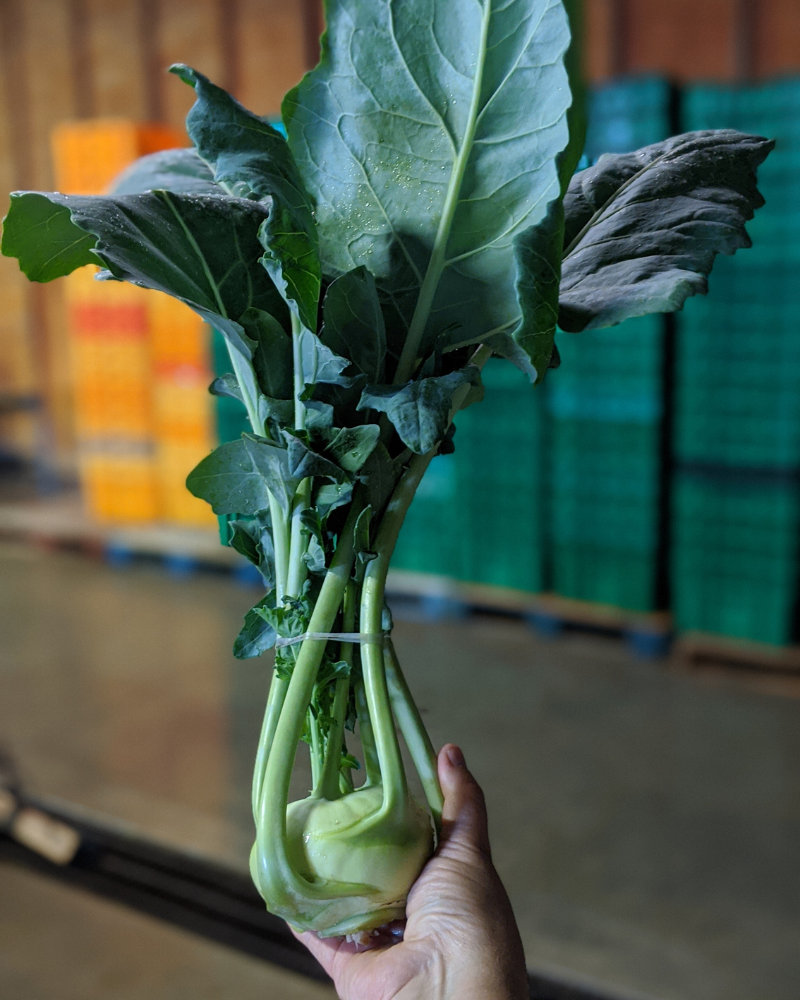 Kohlrabi