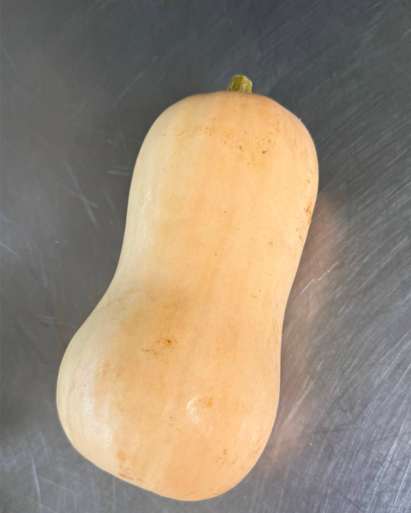 Squash, Butternut, 1 ea