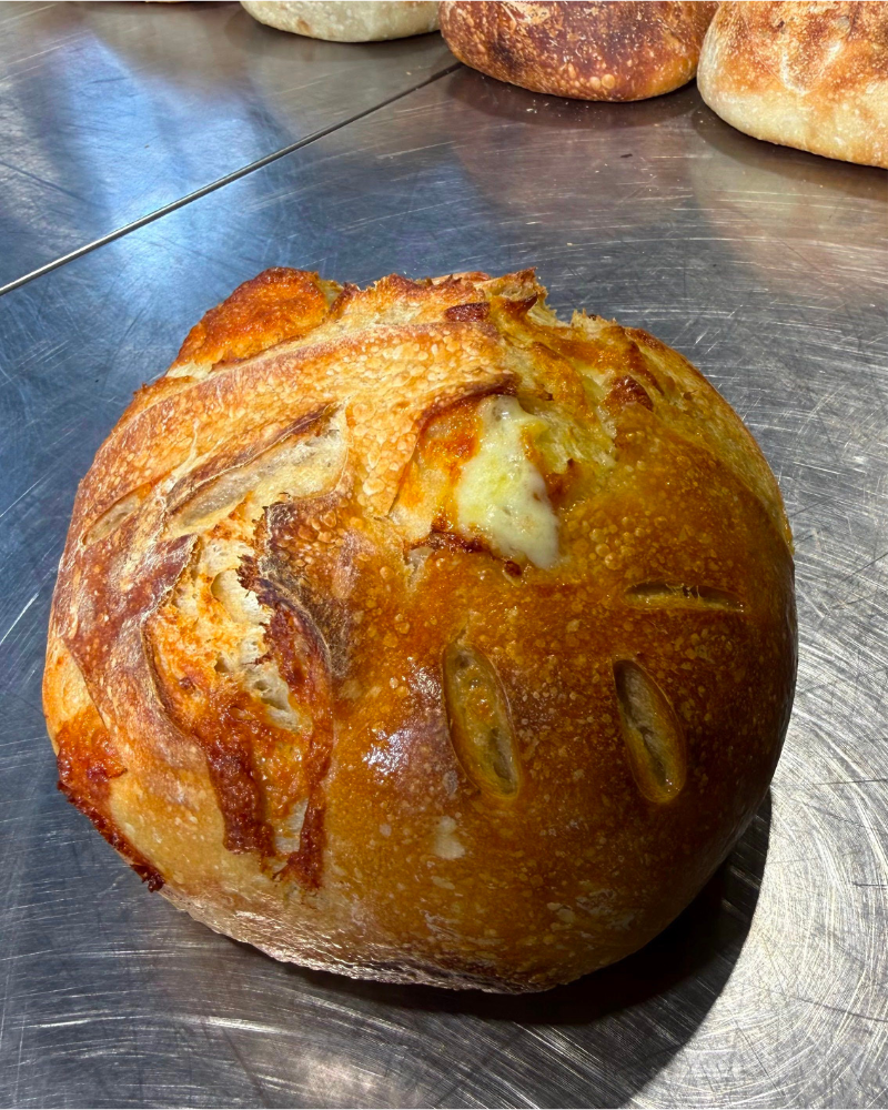 Sourdough Bread, Old Cheddar