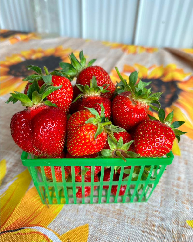 Fresh Strawberries, 1 quart