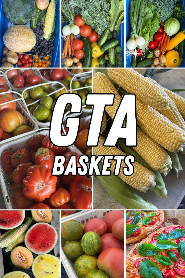 7 Week Summer Basket -- GTA
