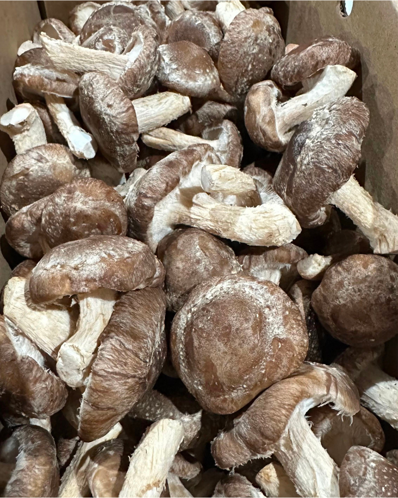 Mushrooms, Shiitake, 1lb