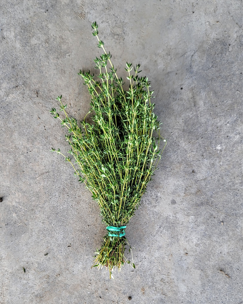 Herbs, Thyme, 1 bunch
