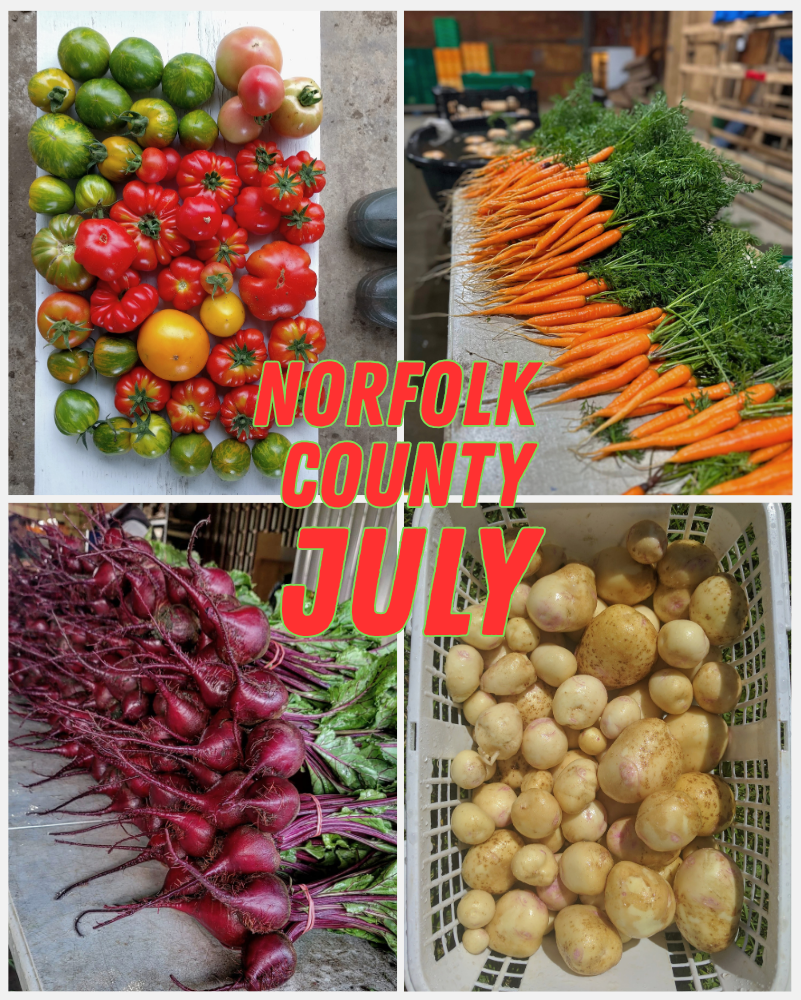 3 Week July Summer Basket - Norfolk County