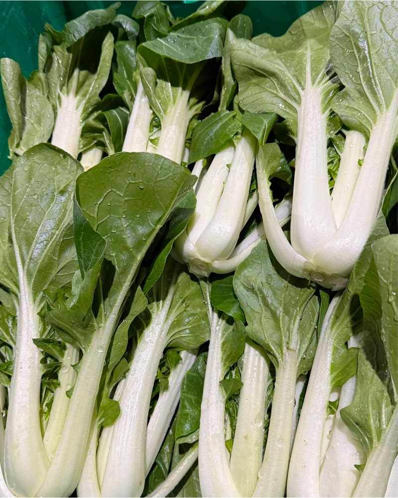 Bok Choy