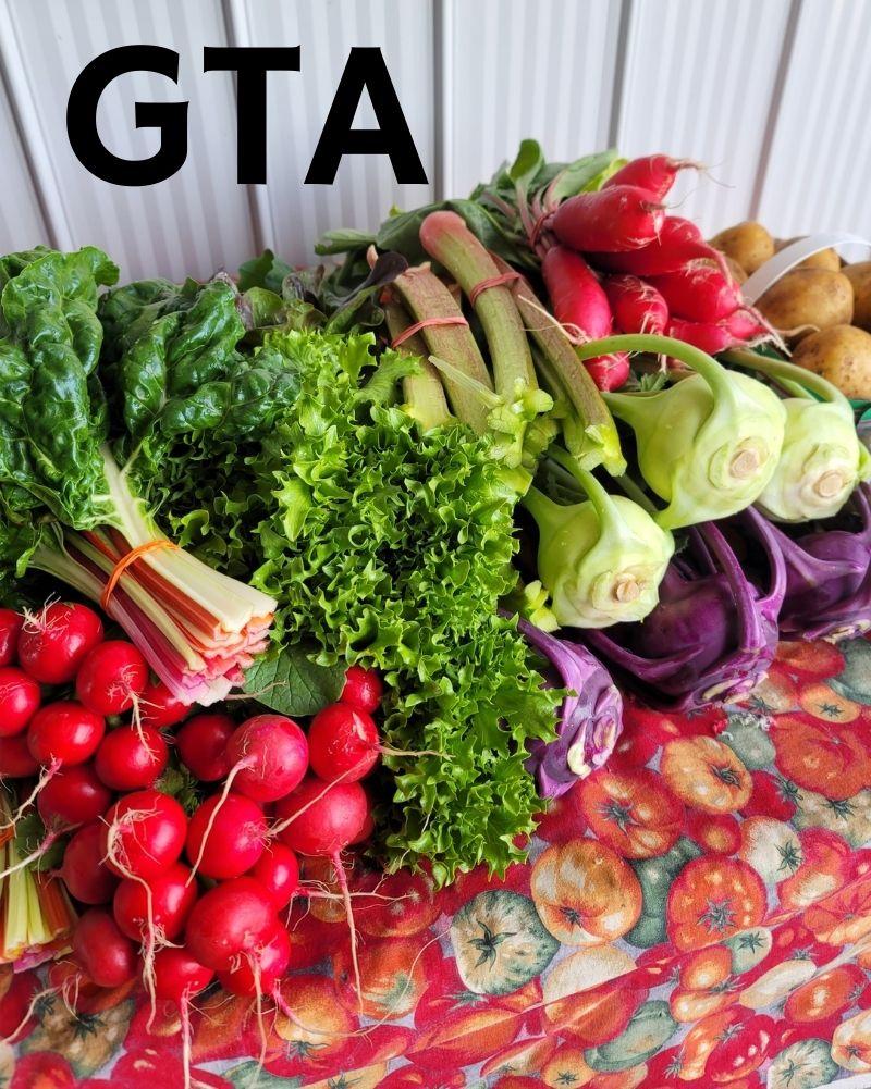 Try Us Out, Summer Baskets, GTA