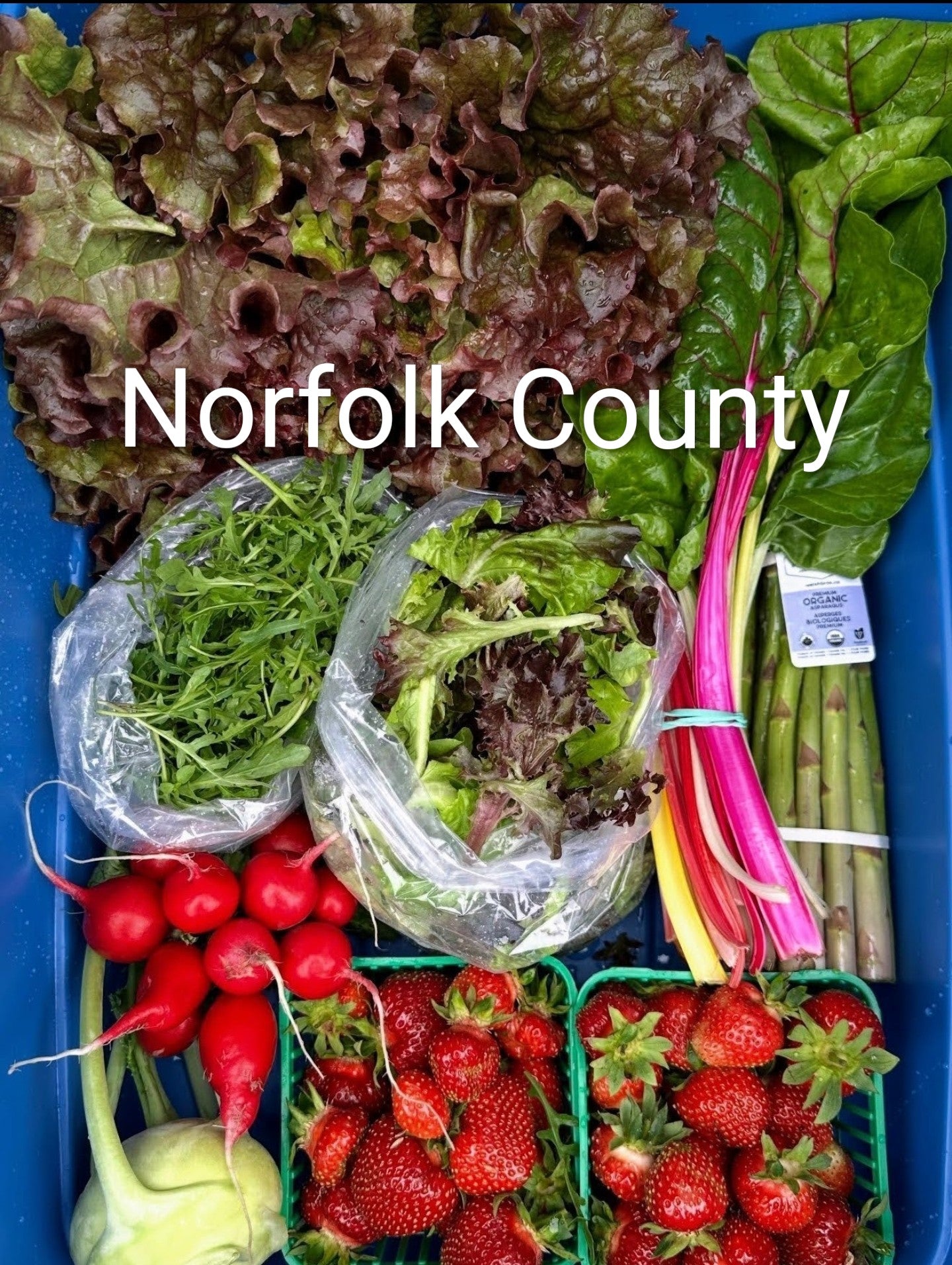 4 Week Spring Basket With Strawberries - Norfolk County