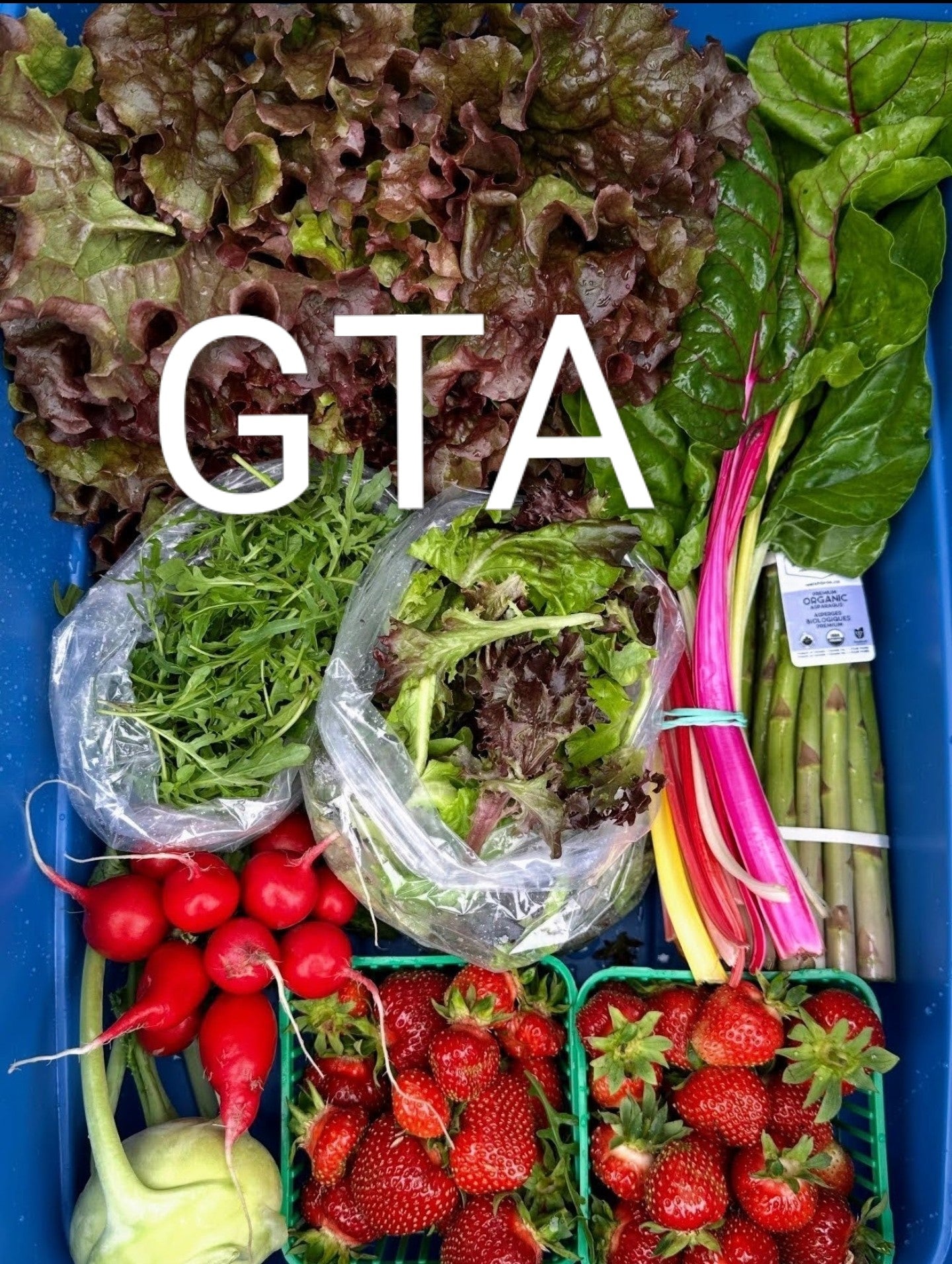 4 Week Spring Basket with Strawberries - Toronto